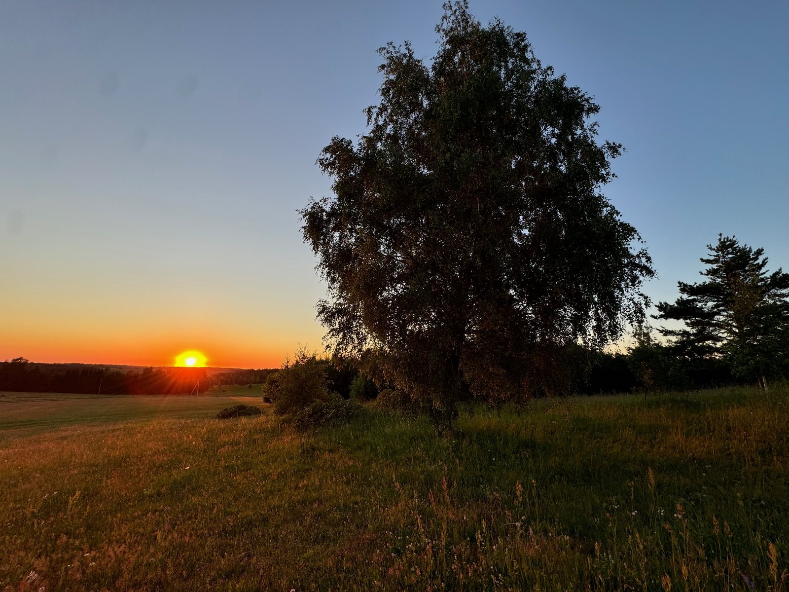 Saulėlydis lauke — idėjos gimimo nuotaika